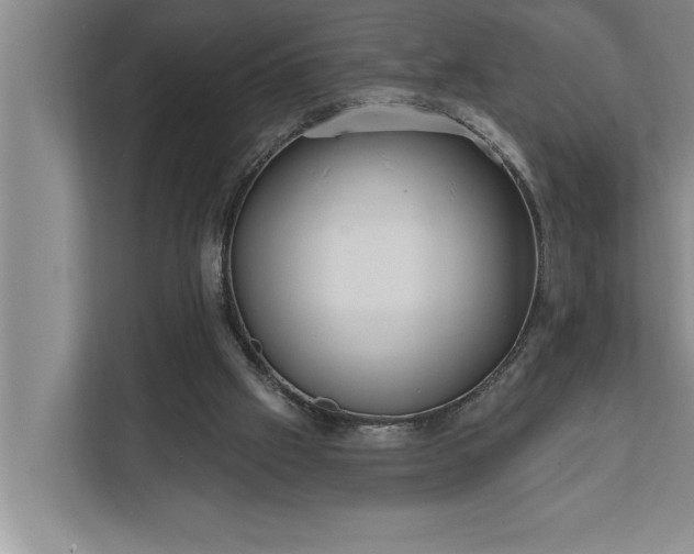 X0000112350057200908271241