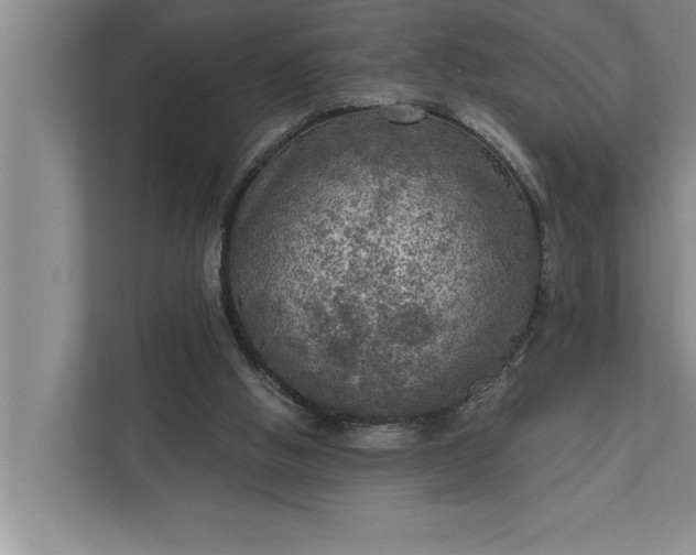 X0000112350058200908271241