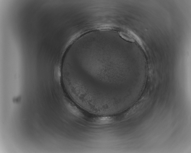 X0000112350059200908271241