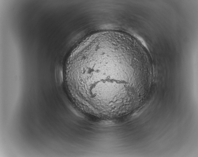 X0000112350061200908271241