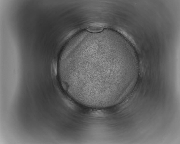 X0000112350062200908271241