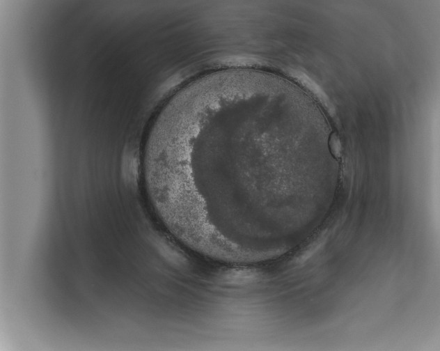 X0000112350063200908271241