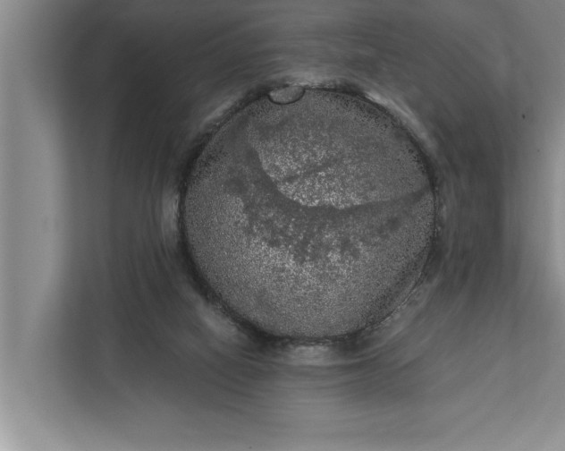 X0000112350066200908271241