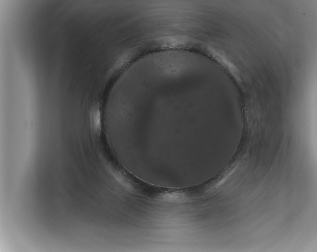 X0000112350067200908271241