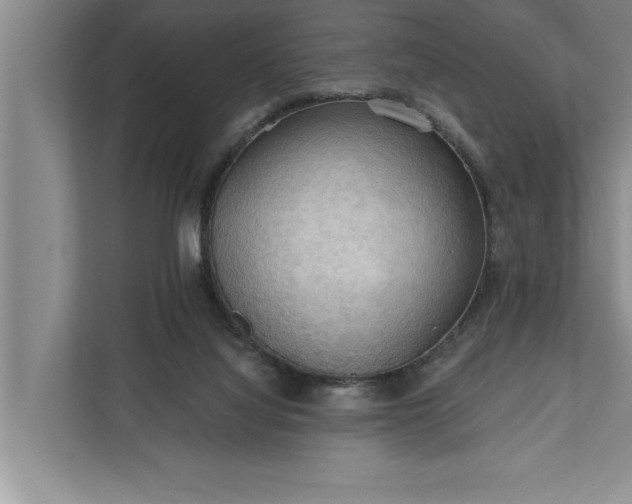 X0000112350068200908271241