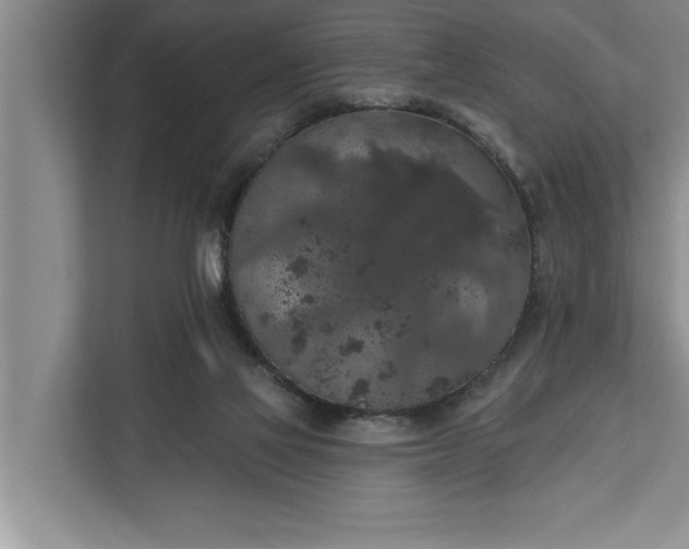 X0000112350069200908271241