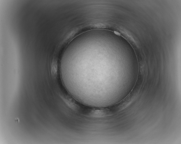 X0000112350072200908271241