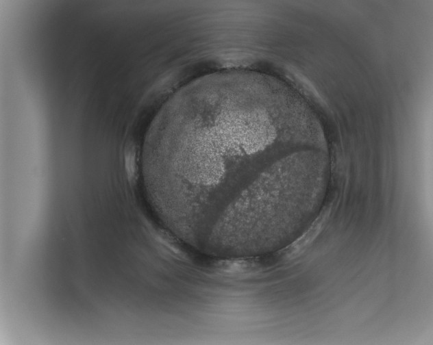 X0000112350074200908271241