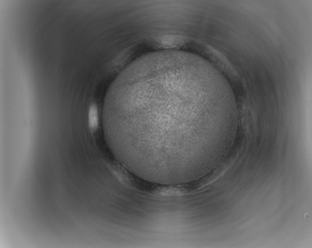 X0000112350075200908271241