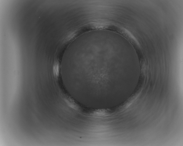 X0000112350076200908271241