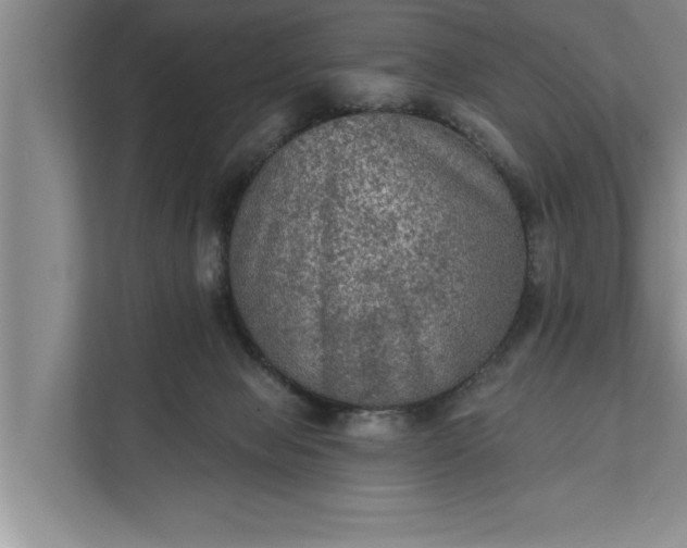 X0000112350077200908271241