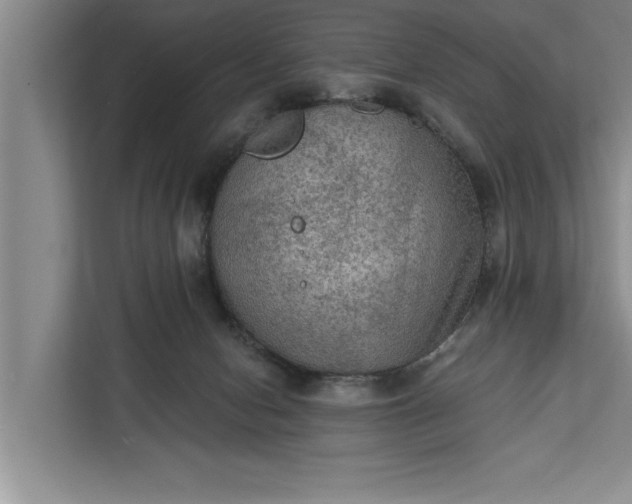 X0000112350078200908271241