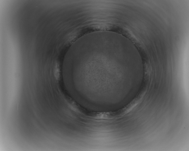 X0000112350080200908271241