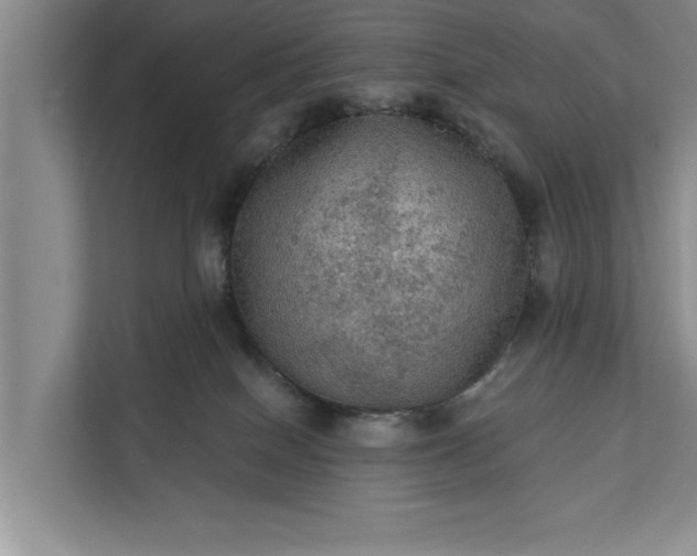 X0000112350086200908271242