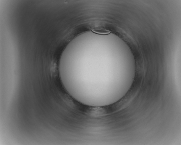 X0000112350087200908271242