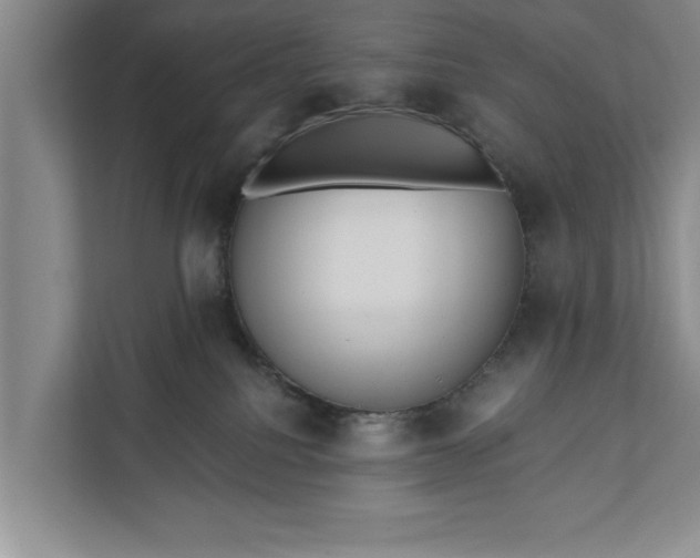 X0000112350088200908271242