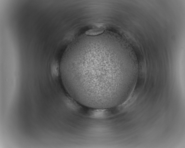 X0000112350090200908271242