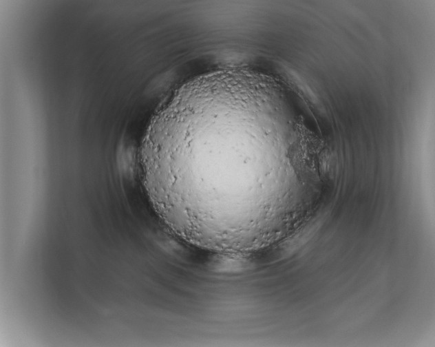 X0000112350093200908271242