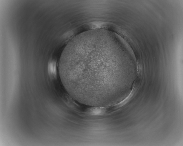 X0000112350094200908271242