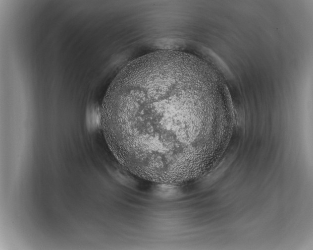 X0000112350095200908271242