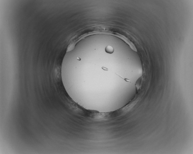 X0000112350096200908271242