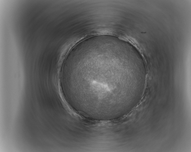 X0000112350097200908271241