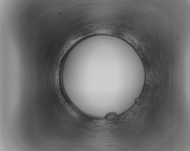 X0000112350098200908271241