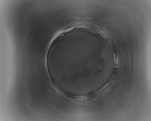 X0000112350099200908271241