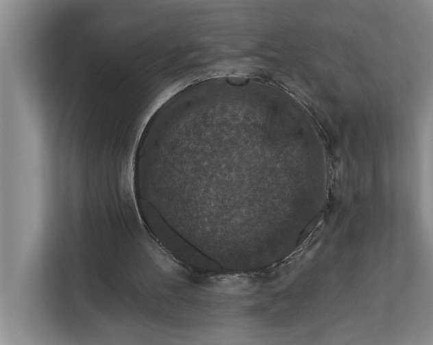 X0000112350100200908271241