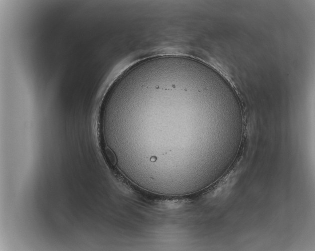 X0000112350103200908271241