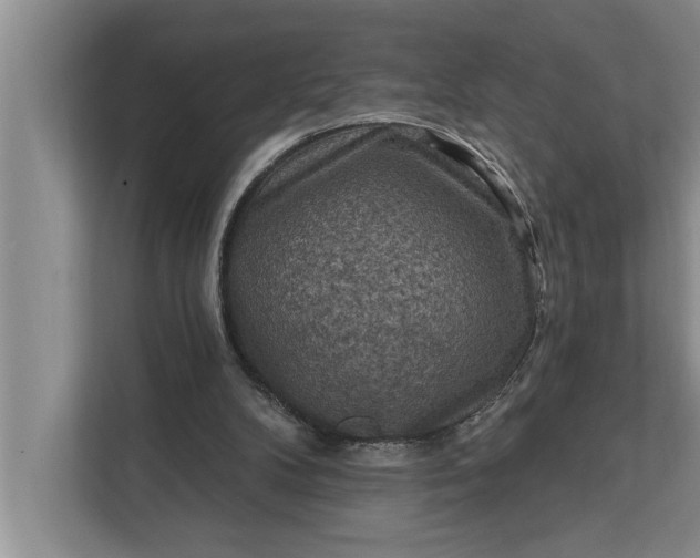 X0000112350104200908271241