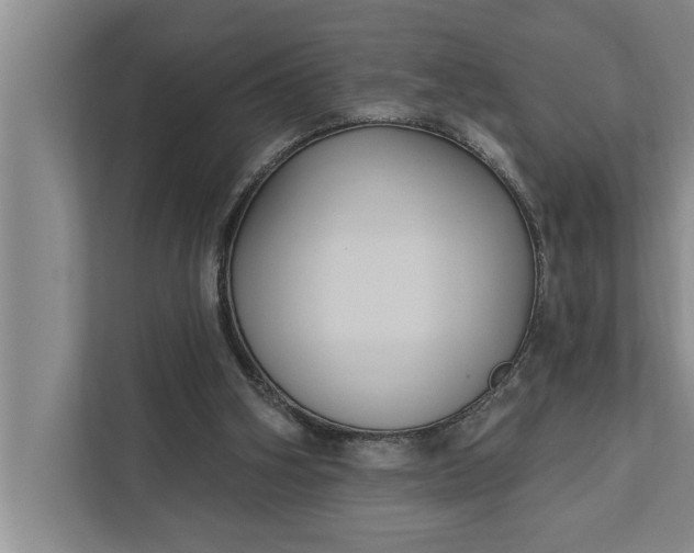 X0000112350106200908271241