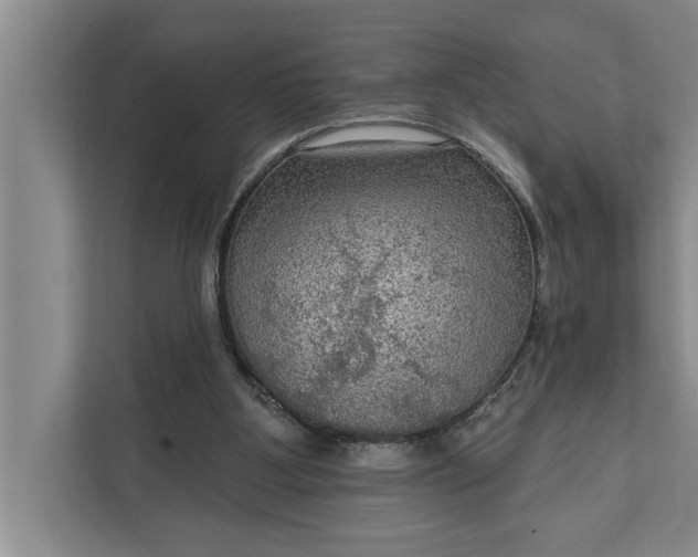 X0000112350107200908271241