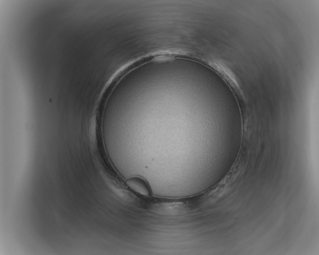 X0000112350108200908271241