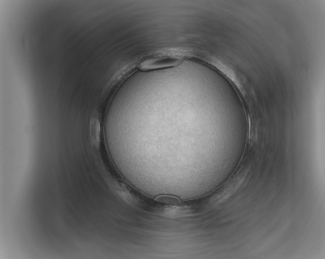 X0000112350109200908271241