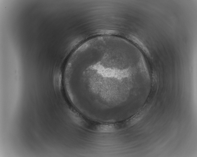 X0000112350110200908271241