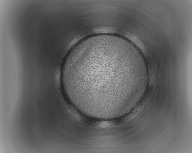 X0000112350111200908271241