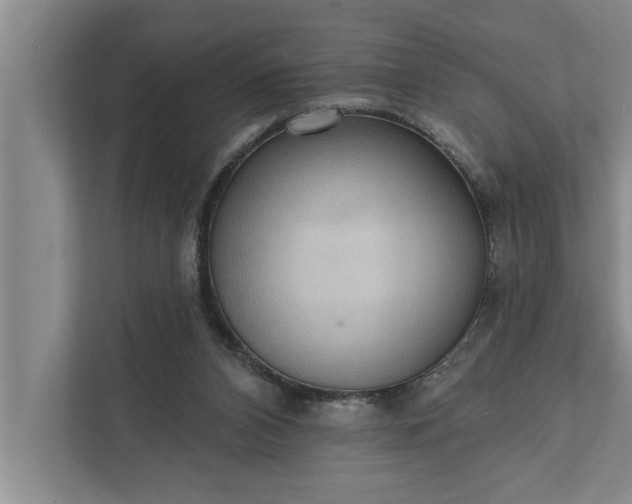 X0000112350112200908271241