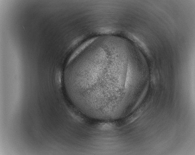 X0000112350115200908271241