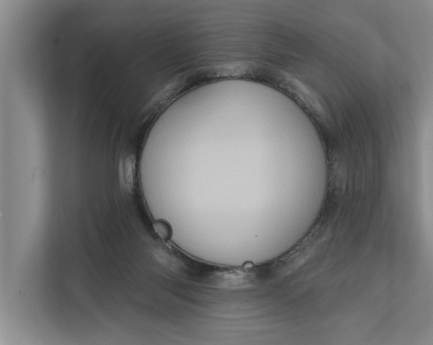 X0000112350118200908271241