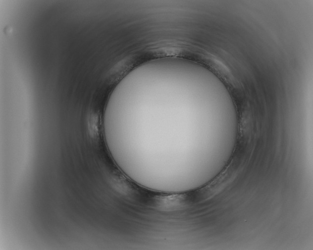 X0000112350122200908271241