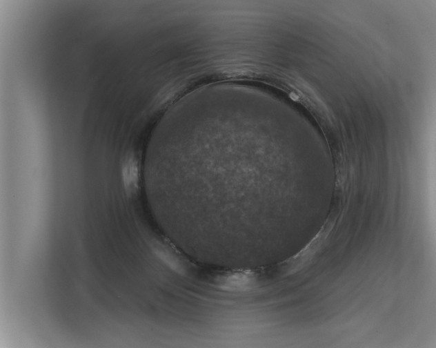 X0000112350124200908271241