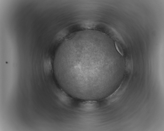 X0000112350128200908271240