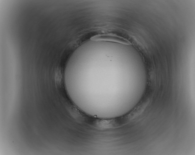 X0000112350129200908271240