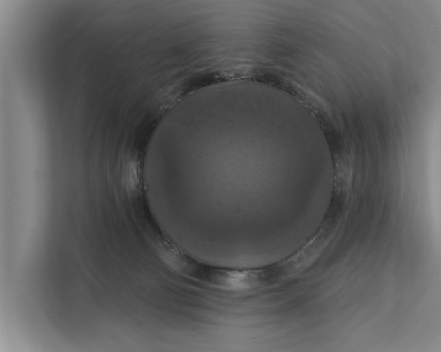 X0000112350130200908271240