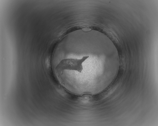 X0000112350131200908271240