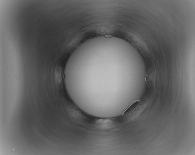 X0000112350133200908271240