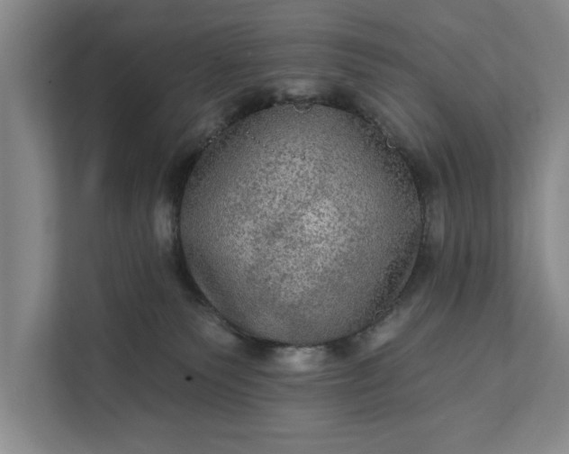 X0000112350135200908271240