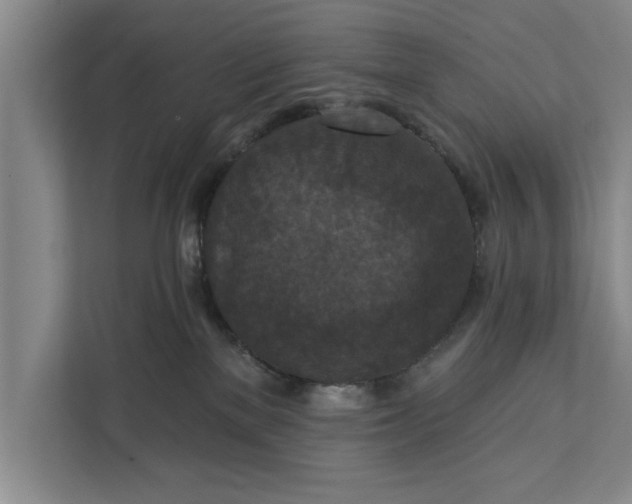 X0000112350137200908271240