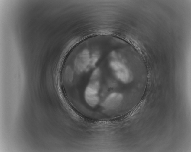 X0000112350145200908271240